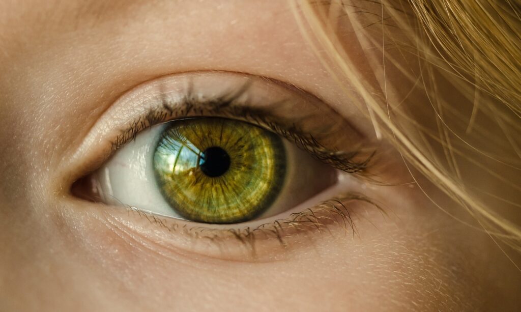 Winpern Auge Nahaufnahme Länger, dichter, schöner Der Weg zur ansprechenden Wimpernverlängerung