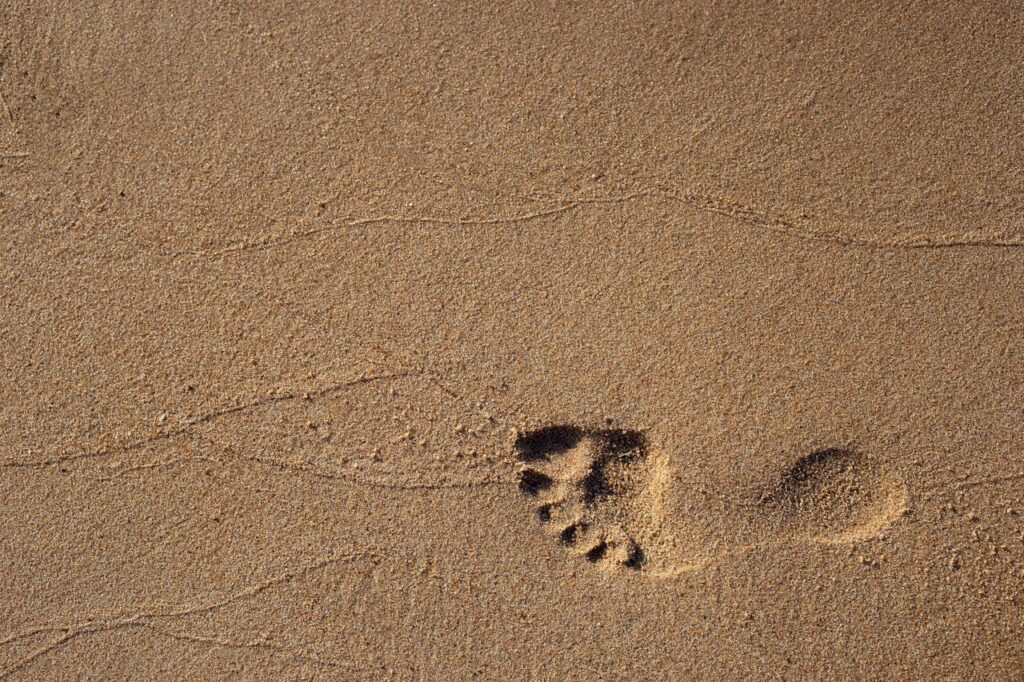 Fußabdruck im Sand Formspuren – Definition & Beispiele aus der Kriminaltechnik